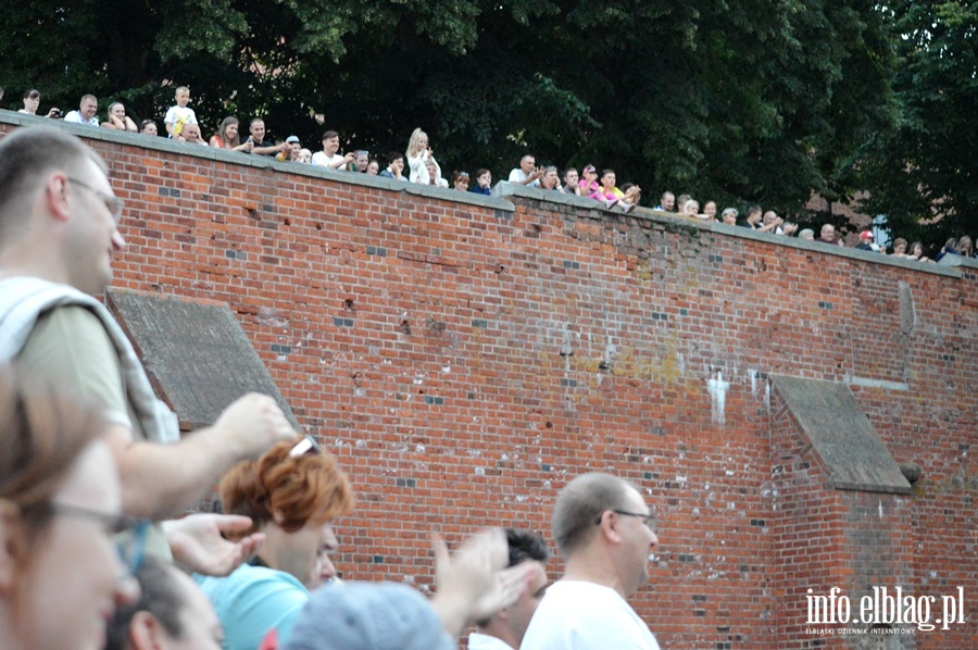 Oblężenie Malborka 2014, fot. 50