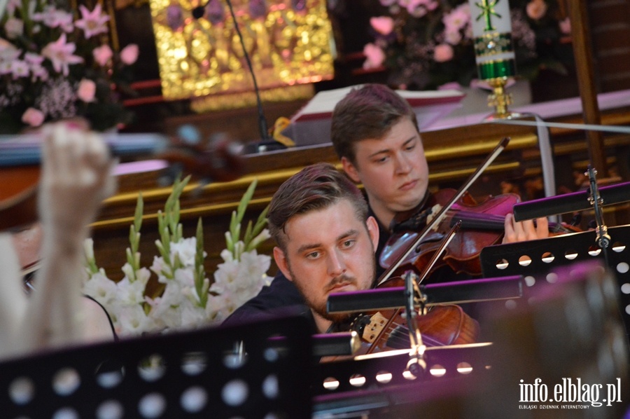 Muzyka polska na Żuławach w Nowym Dworze Gdańskim, fot. 80
