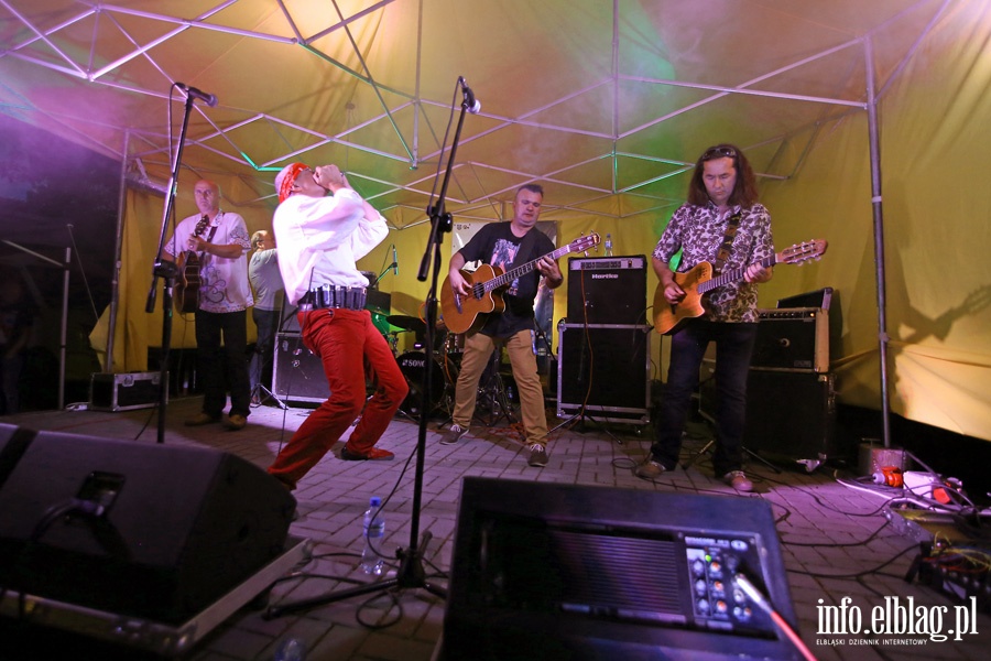 Nocna Zmiana Bluesa podczas V edycji Młynary Blues Festiwal, fot. 4