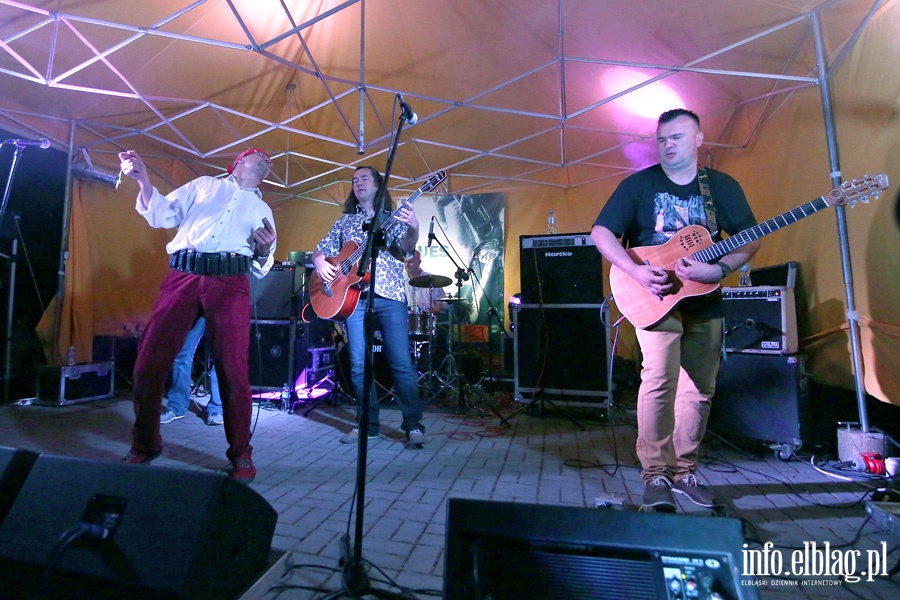 Nocna Zmiana Bluesa podczas V edycji Mynary Blues Festiwal, fot. 39
