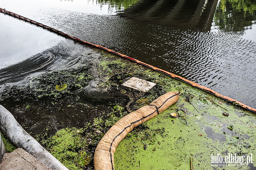 Substancja ropopochodna zanieczycia rzek Elblg, fot. 3