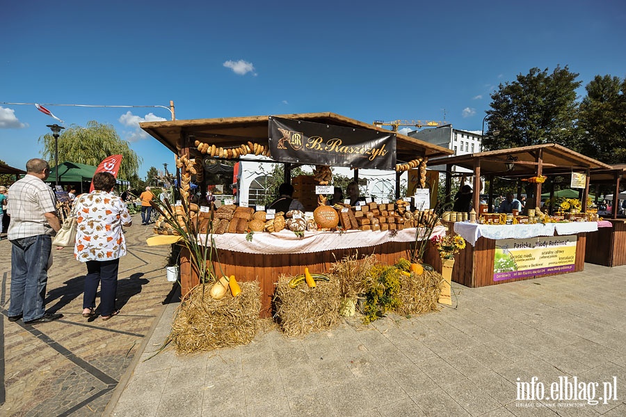 wito Chleba 2014, fot. 88