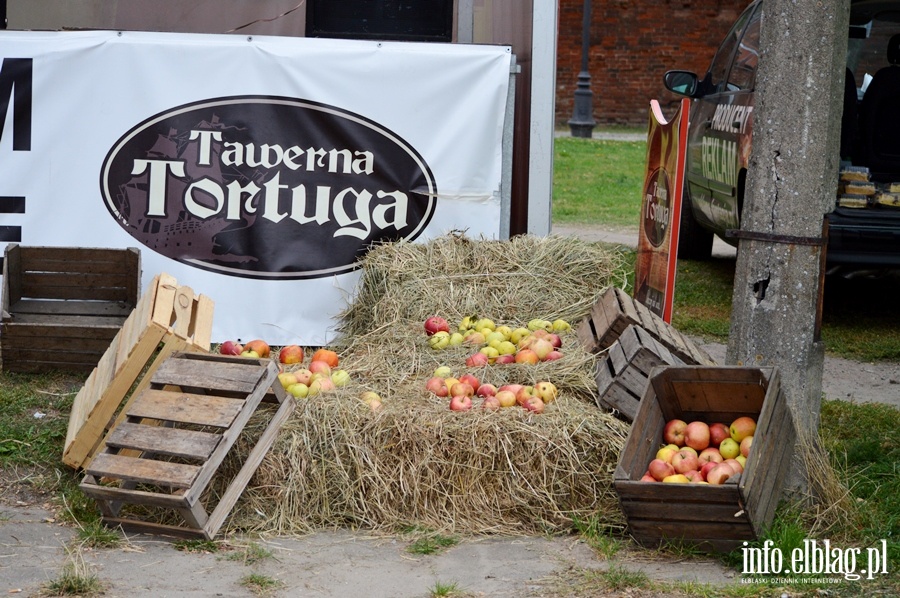 Festyn patriotyczny w Tortudze, fot. 1