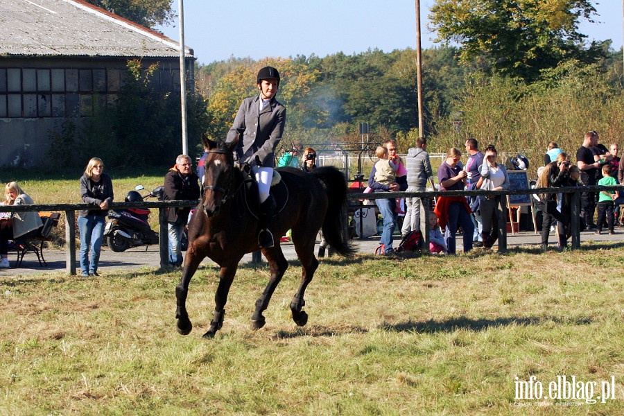 Towarzyskie zawody konne Kadyny Cup, fot. 6