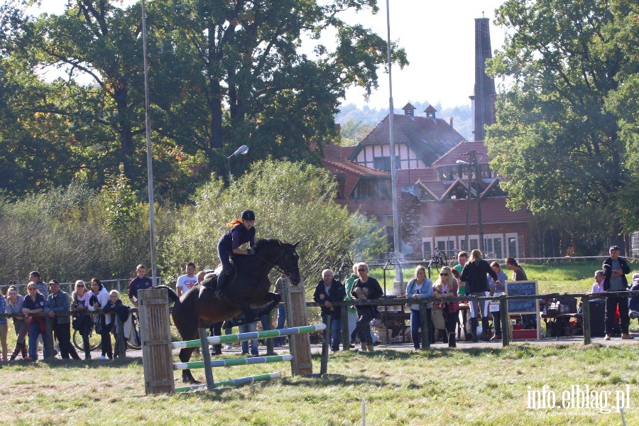 Towarzyskie zawody konne Kadyny Cup, fot. 7