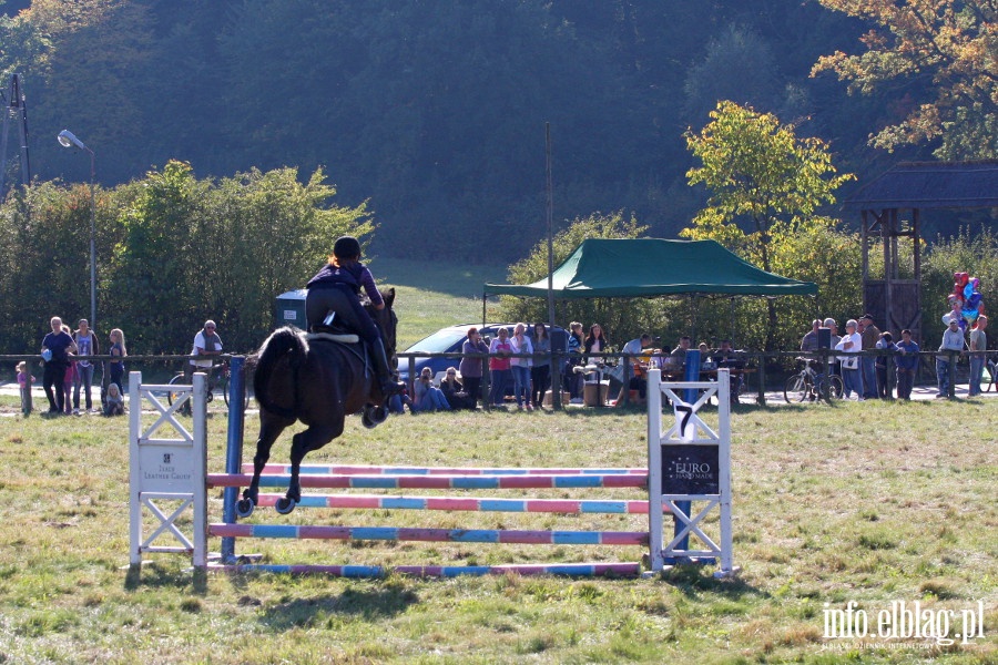 Towarzyskie zawody konne Kadyny Cup, fot. 9