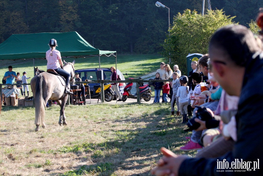 Towarzyskie zawody konne Kadyny Cup, fot. 10