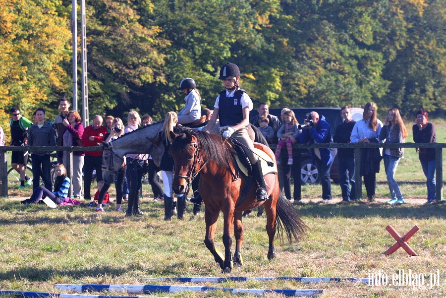 Towarzyskie zawody konne Kadyny Cup, fot. 11