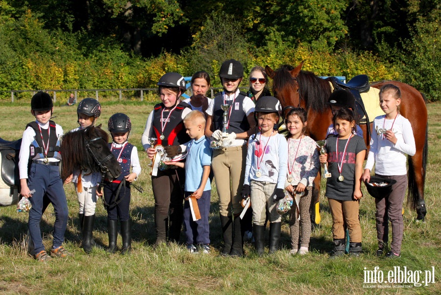 Towarzyskie zawody konne Kadyny Cup, fot. 18