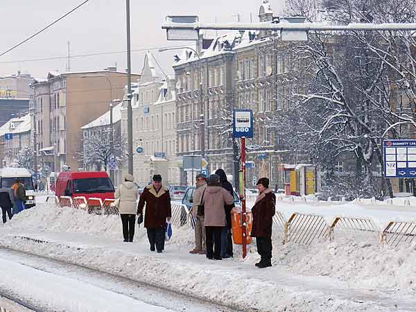 Elbląg zimą, fot. 24