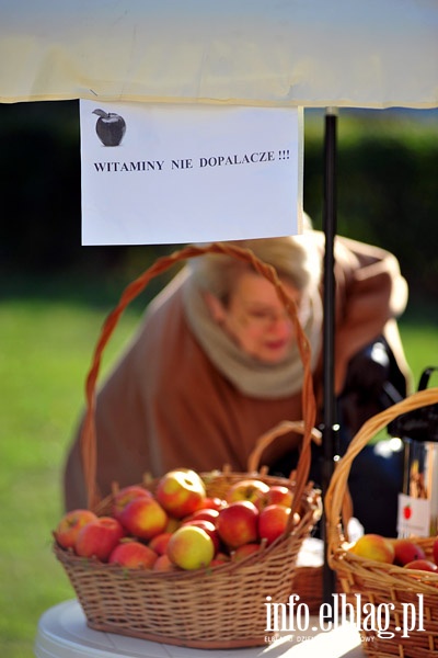 Jabłka zamiast dopalaczy - inicjatywa Wojciecha Rudnickiego, fot. 3