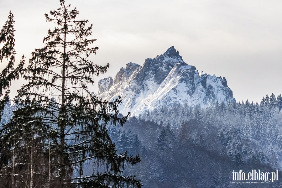 Fotorelacja z zakończenia TCS w Bischofshofen 06-01-2015, fot. 113