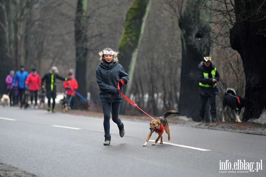  IV edycja Biegu na Sze ap, fot. 13