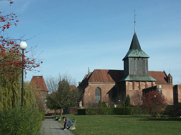 Okolice Elblga - Malbork, fot. 5