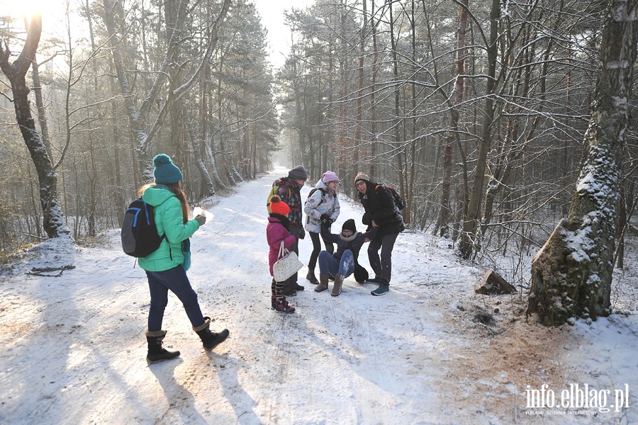  Nieznana Mierzeja Wilana - turystyczne ferie z PTTK Elblg, fot. 4