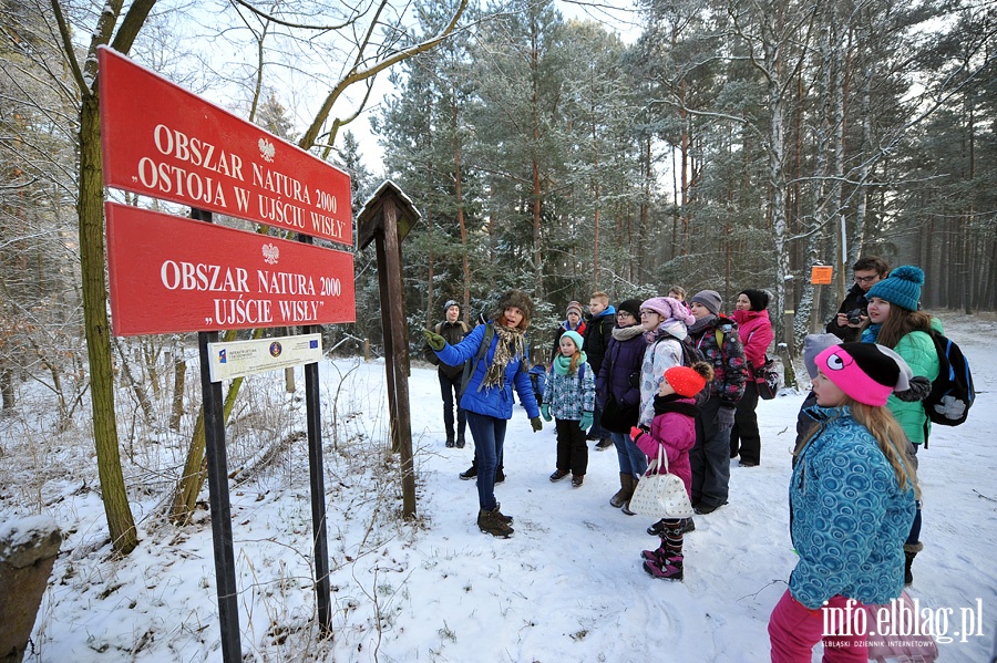  Nieznana Mierzeja Wilana - turystyczne ferie z PTTK Elblg, fot. 6