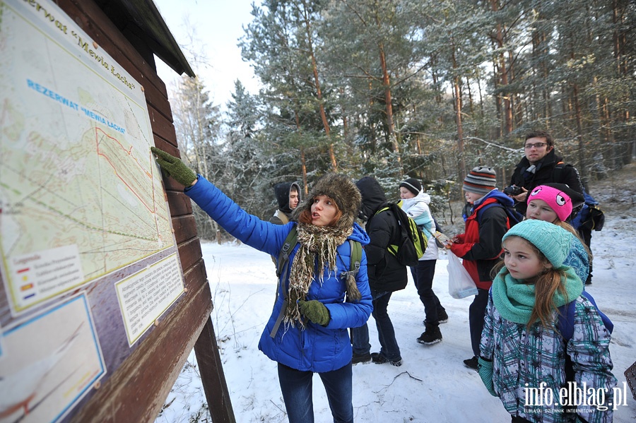  Nieznana Mierzeja Wilana - turystyczne ferie z PTTK Elblg, fot. 8