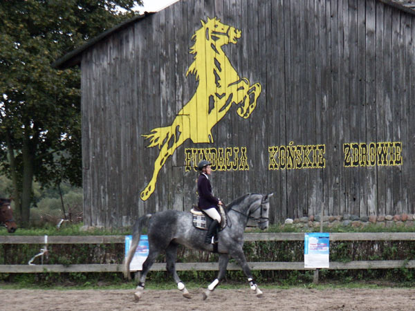 Jesienny piknik jedziecki w Fundacji, fot. 27