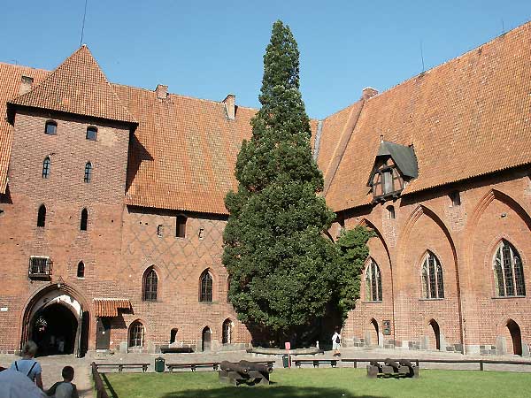 Okolice Elblga - Malbork, fot. 20