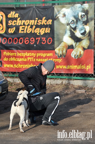 Piąty Bieg na sześć łap, fot. 16