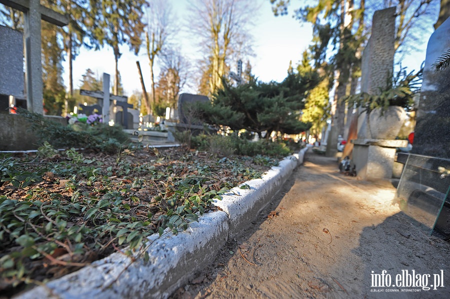 Zbiorowa mogiła 29 jeńców polskich na Cmentarzu Komunalnym Agrykola, fot. 11