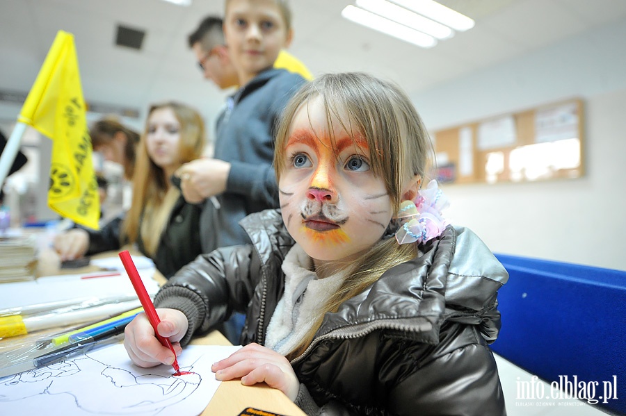 Elblska Rewia Kotw ze schroniska OTOZ ANIMALS, fot. 11