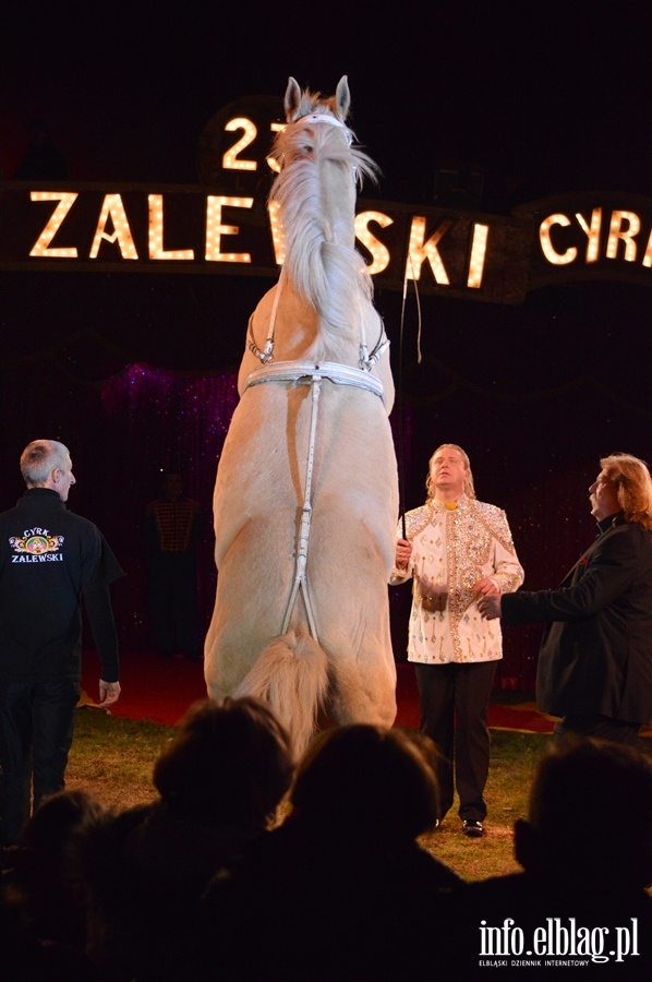 Cyrk Zalewski - fot. Majka Brejdak, fot. 40