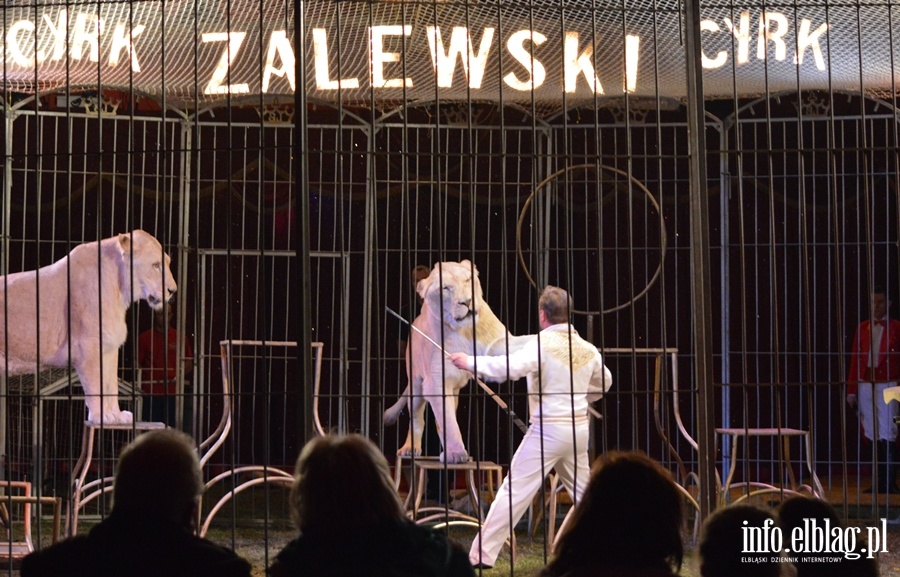 Cyrk Zalewski - fot. Majka Brejdak, fot. 69