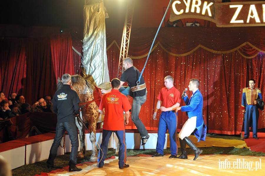 Cyrk Zalewski - fot. Adrian Sajko, fot. 47