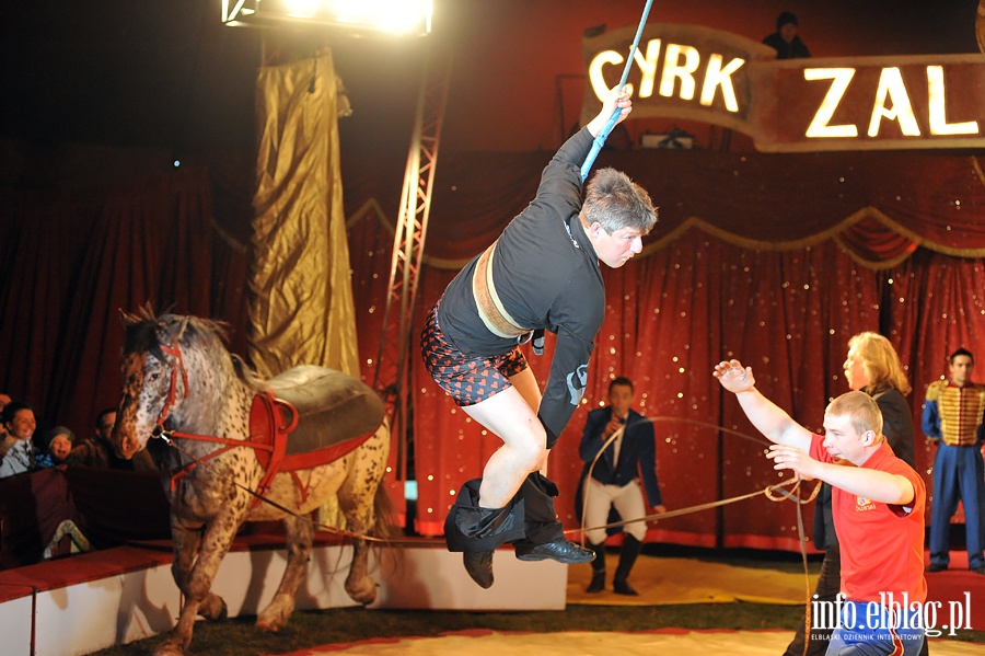Cyrk Zalewski - fot. Adrian Sajko, fot. 71