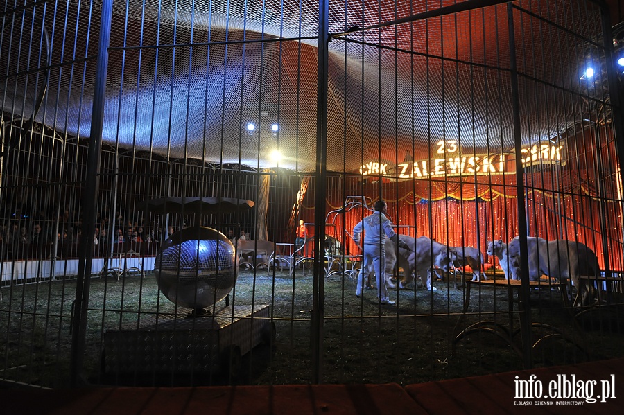 Cyrk Zalewski - fot. Adrian Sajko, fot. 91