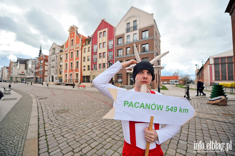 Koziołek Matołek z wizytą u małych pacjentów, fot. 3
