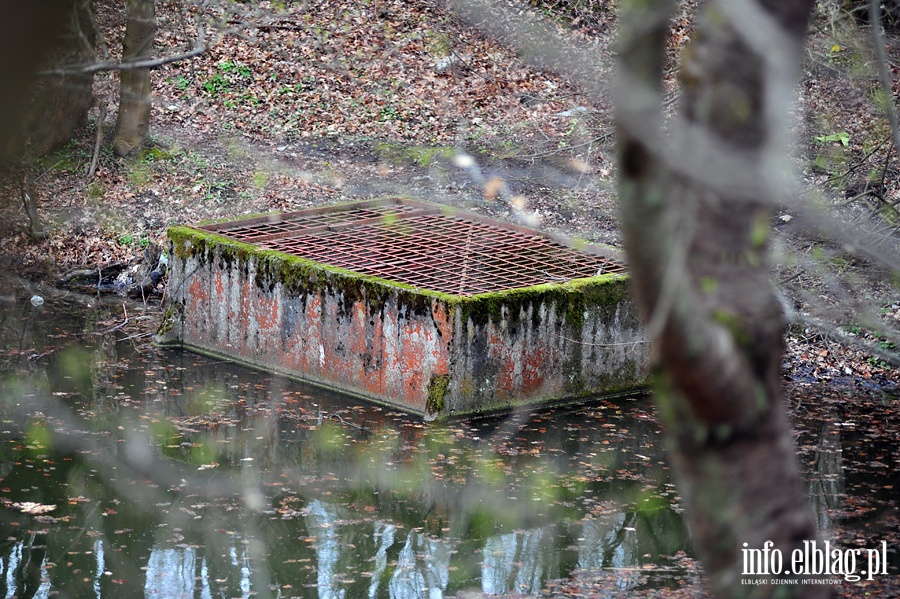 Zbiornik wodny przy ul. Dbrowskiego, fot. 4