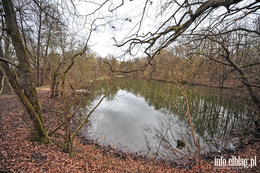 Zbiornik wodny przy ul. Dbrowskiego, fot. 7