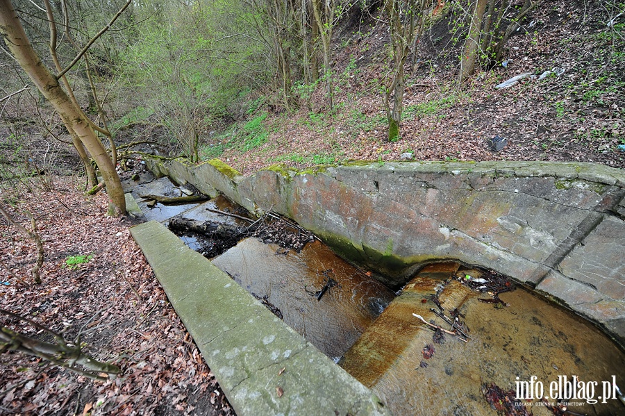 Zbiornik wodny przy ul. Dbrowskiego, fot. 13