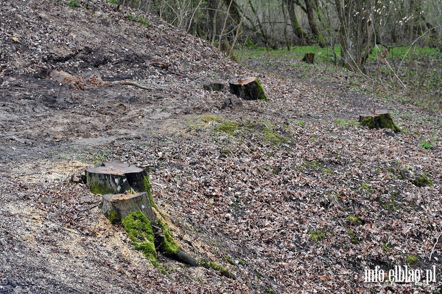 Zbiornik wodny przy ul. Dbrowskiego, fot. 18