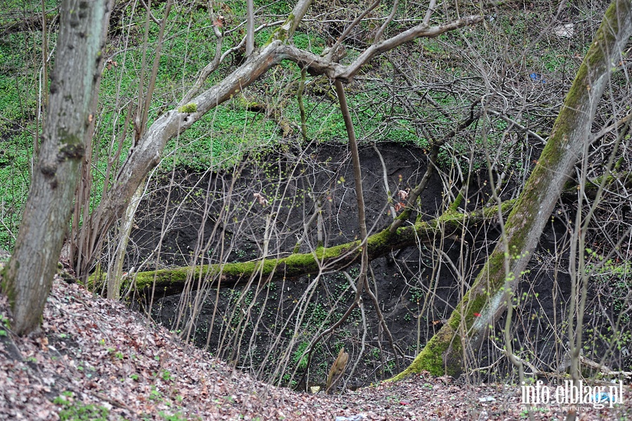 Zbiornik wodny przy ul. Dbrowskiego, fot. 19