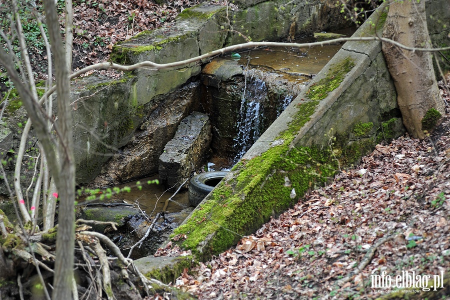 Zbiornik wodny przy ul. Dbrowskiego, fot. 20