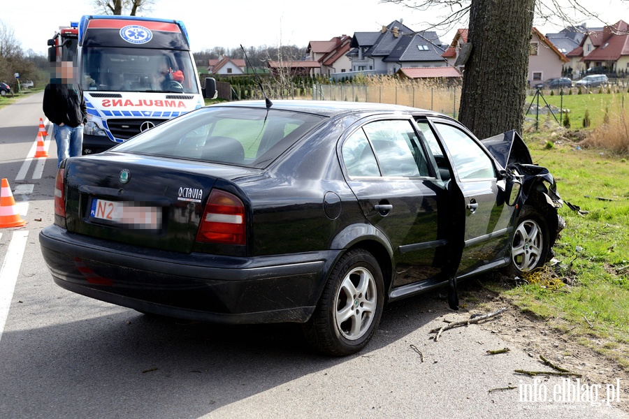 Fromborska: octavi uderzyli w drzewo. Jedna osoba w szpitalu, fot. 8