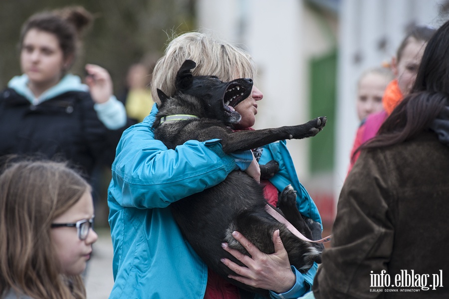 Bieg na sześć łap z OTOZ Animals, fot. 7
