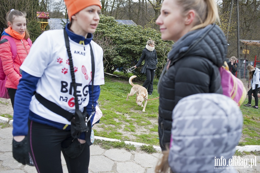 Bieg na sześć łap z OTOZ Animals, fot. 15