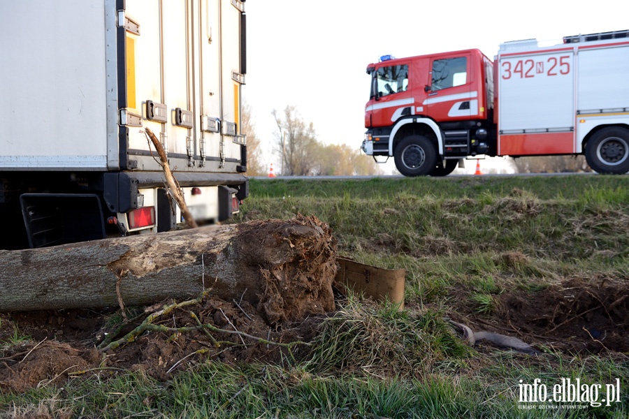 Kazimierzowo: ciarwk uderzy w drzewo. Kierowca w szpitalu, fot. 10