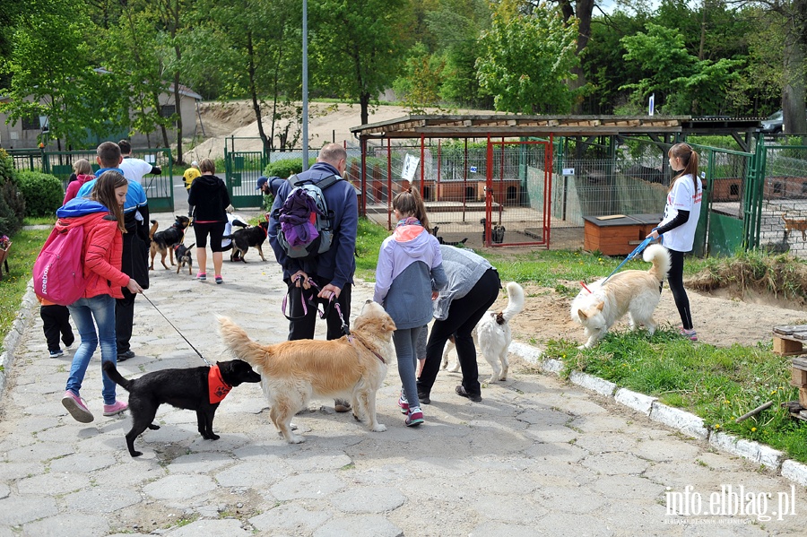 Majowy bieg na sze ap z OTOZ Animals, fot. 10