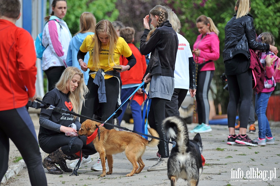 Majowy bieg na sze ap z OTOZ Animals, fot. 17