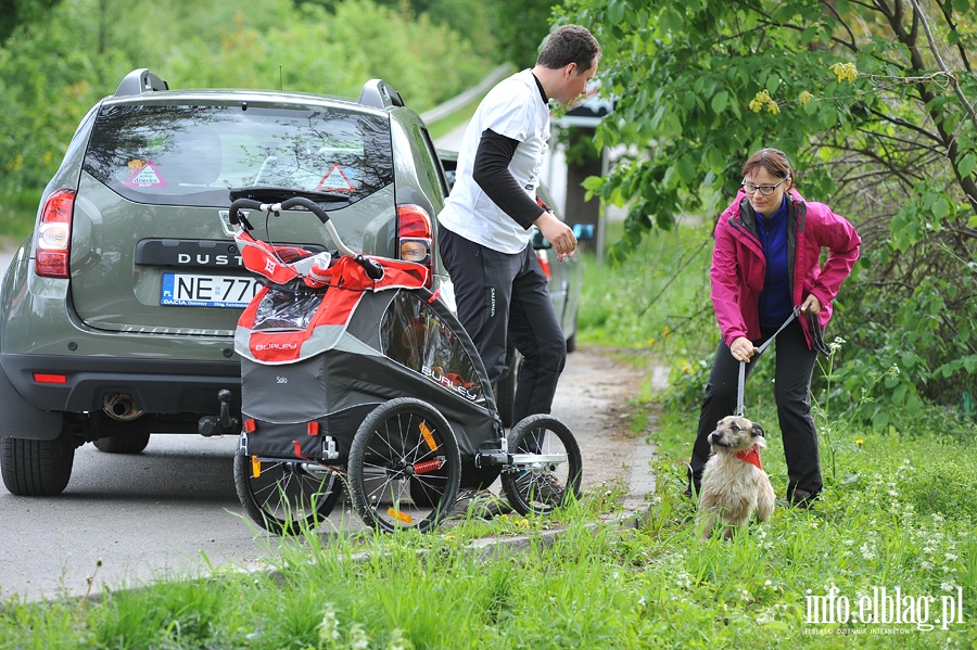 Majowy bieg na sze ap z OTOZ Animals, fot. 21