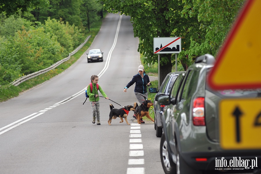 Majowy bieg na sze ap z OTOZ Animals, fot. 22