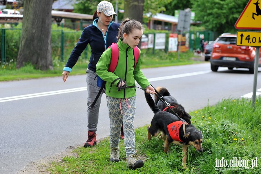 Majowy bieg na sze ap z OTOZ Animals, fot. 25