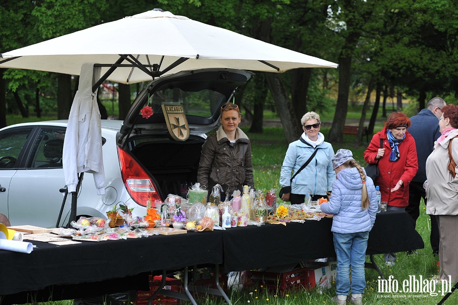 Piknik w Parku Modrzewie, fot. 14
