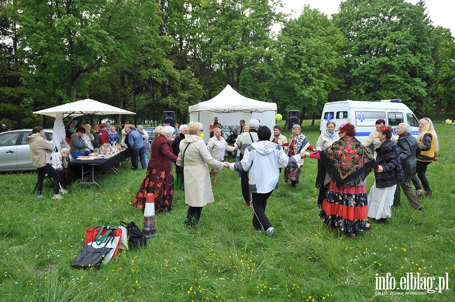 Piknik w Parku Modrzewie, fot. 33