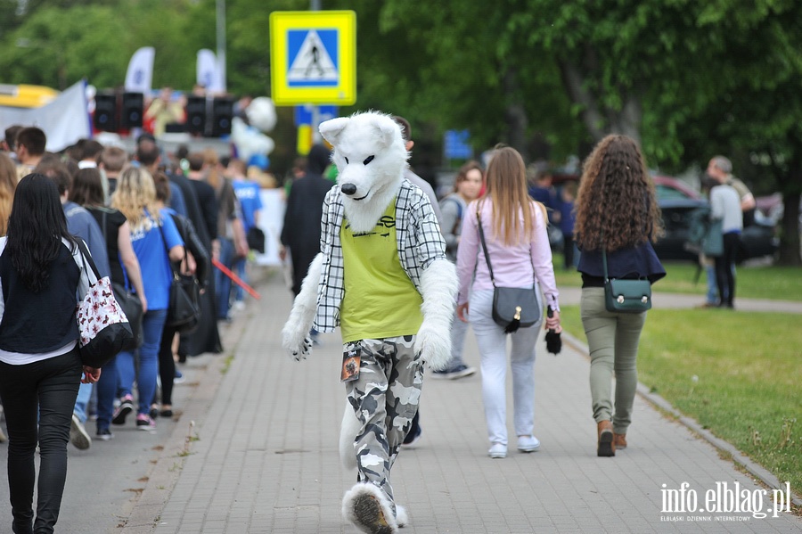 Rozpoczcie Juwenaliw 2015, fot. 70